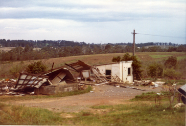 Photograph, Livermore's Orchard