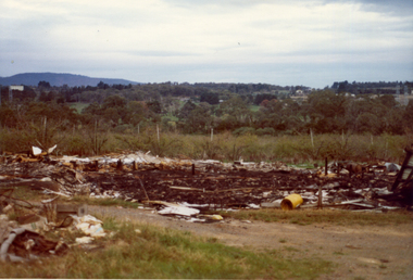 Photograph, Livermore's Orchard