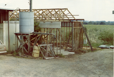 Photograph, Livermore's Orchard