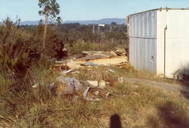 Photograph, Livermore's Orchard