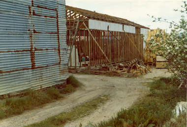 Photograph, Livermore's Orchard