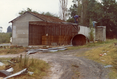 Photograph, Livermore's Orchard