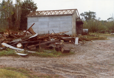 Photograph, Livermore's Orchard