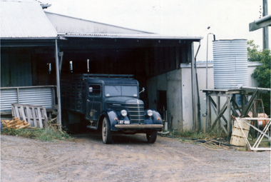 Photograph, Livermore's Orchard