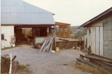 Photograph, Livermore's Orchard