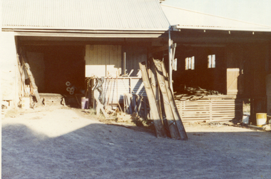Photograph, Livermore's Orchard