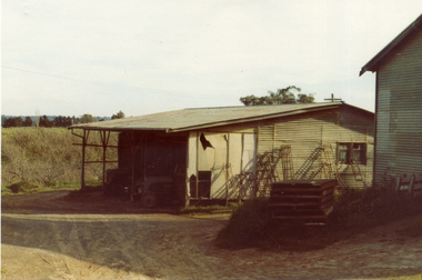 Photograph, Livermore's Orchard