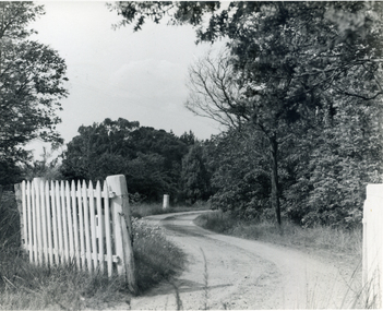 Photograph, Gates Outside Old House