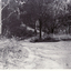 Black and white photo of bridge at Deep Creek Road, Mitcham which leads to Loughnan's Hill.