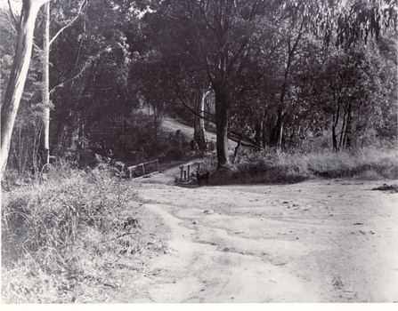 Black and white photo of bridge at Deep Creek Road, Mitcham which leads to Loughnan's Hill.