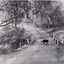 Black and white photo of  bridge over Deep Creek Road, Mitcham with a dog crossing.