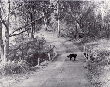 Black and white photo of  bridge over Deep Creek Road, Mitcham with a dog crossing.