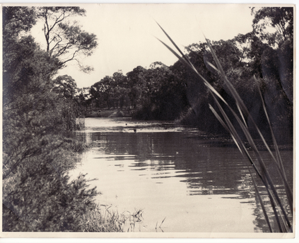 Black and white photo of Blackburn Lake......