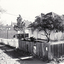 Black & white photos (two) of early Blackburn home next to Watts Dairy, on the cnr of Albert Street and Railway Road. Demolished in 1977 and now the site of a carpark.