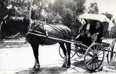 Mr and Mrs Aldridge going shopping  in Blackburn in 1925. Horse and four wheel cart/spring cart with front seat and hood.