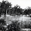 Black & white photo of S.W. corner of Blackburn Road and Canterbury Road c1922. Mrs wellman is standing on rock.