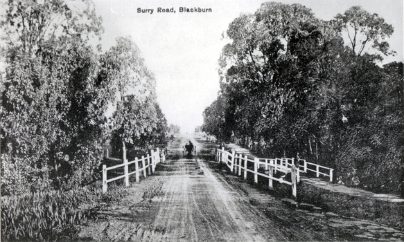 Black & white photo of Surry (sic) Road Blackburn (captioned) Surrey Road