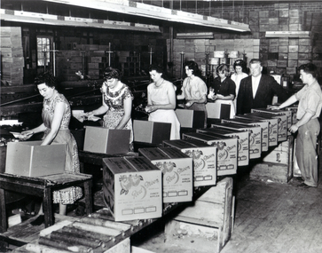 Black & white photo of team of packers inside Blue Moon Packing Shed, 1960. Note Pat Brice facing camera,