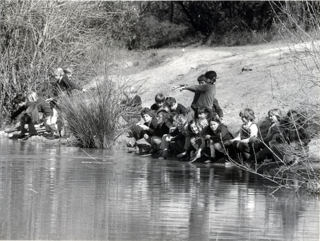 Physical description  Black and white photo of children from Blackburn Lake Primary School fishing for yabbies in the Blackburn Lake Sanctuary in 1974.