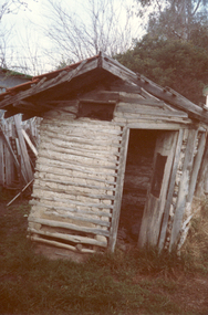 Coloured photo of wattle and daub dairy in backyard of 3 Almondsbury Court, North Blackburn