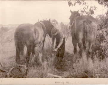 Photograph - Black & white photo, Hitching Up