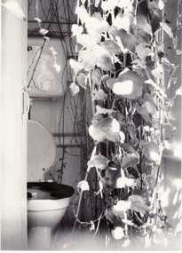 Photograph, Interior of House