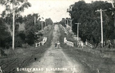 Photograph, Surrey Road, Blackburn, 1918