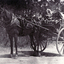 Black and white photo of Edward Charles on Barelli's Baker's Cart delivering bread c1940. Horse and cart delivery continued by Barelli's until early 1950's.