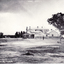 Black and white photo of the northern  cnr Whitehorse and Mitcham Roads, Mitcham, showing Hughs Produce Store, with his white horse and delivery wagon outside.
