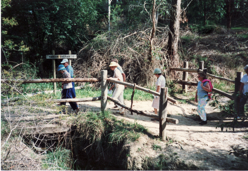 Coloured photo of University of Third Age Monash Walking Group at Yarran Dheran. 1987.