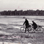 Black and white photo of Koonung Reserve with Bulldozer