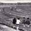 Black and white photo of baseball practice at Koonung Reserve