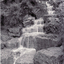 Black and white photo of Waterfall at Yarran Dheran Reserve, Mitcham. 