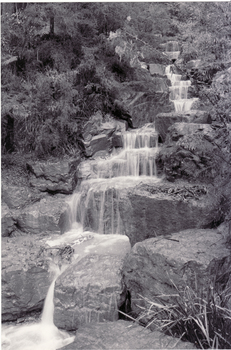 Black and white photo of Waterfall at Yarran Dheran Reserve, Mitcham. 