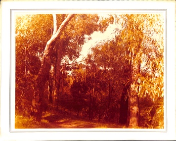 Coloured photo on mount of Blackburn Lake.