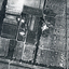 Poor photo copy of black and white photo of Aerial View of Matheson Orchard 'Strathdon', Springvale Road , Forest Hill.
