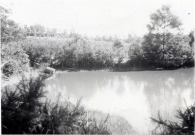 Photograph, Dam on Livermore's Orchard, 1971