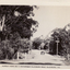 Black and white photo entitled 'Picturesque Blackburn Road, Blackburn, Vic.'