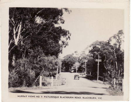 Black and white photo entitled 'Picturesque Blackburn Road, Blackburn, Vic.'