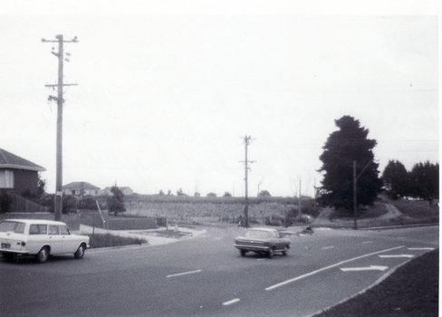 Black and white photo showing one of the last Market Gardens in the district.   Blackburn Road between Canterbury and Burwood Roads, 1971.