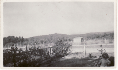 Photograph, Loughnan's Hill, Ringwood