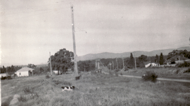 Photograph, Whitehorse Road, Mitcham, 1936
