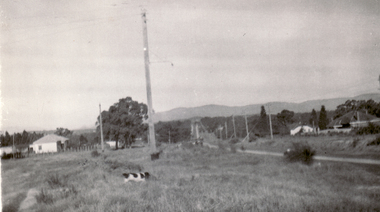Photograph - B/W Photograph, Whitehorse Road, Mitcham, 1936