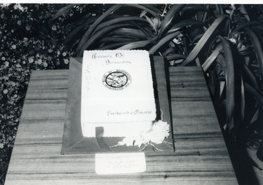 Photograph, Cake for Centenary of Nunawading, 1/05/1972 12:00:00 AM