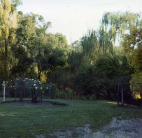 Photograph, Nethercote Homestead, C.1984