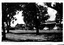 Black and white print of Vermont Shopping Centre.