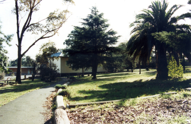 Photograph, Forest Hill State School, 1/08/1993 12:00:00 AM