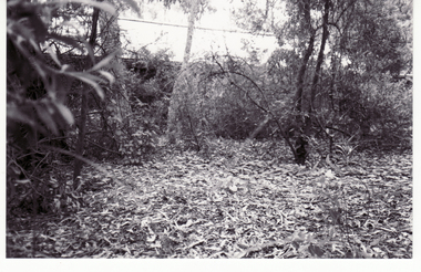 Photograph, First Water Well on Schwerkolt's Cottage, 1/02/1994 12:00:00 AM
