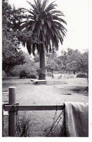 Photograph, Site of First and Second Schwerkolt Cottage, since demolished, 1/02/1994 12:00:00 AM