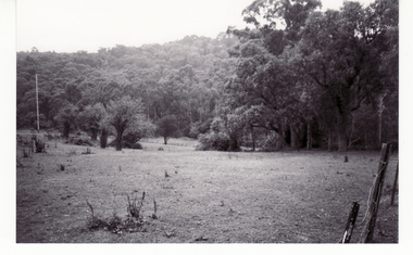 Photograph, View through Schwerkolt's Orchard to Creek, Yarran Dheran  and past Quarry, 1/02/1994 12:00:00 AM